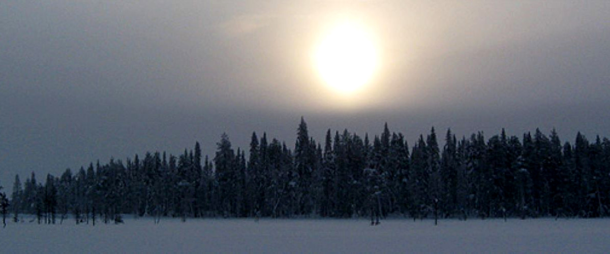 Pajala Allmänningsskog