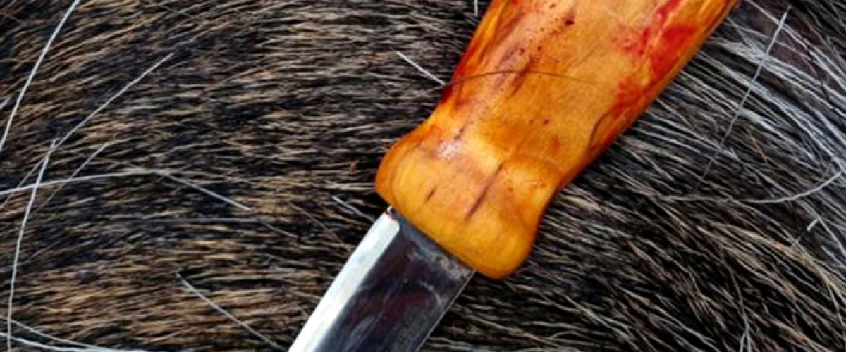 kniv